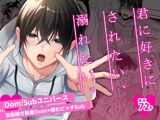 君に好きにされたい、溺れたい。 表紙