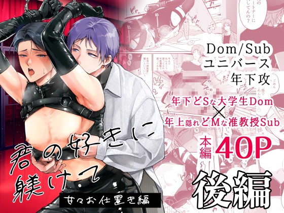 君の好きに躾けて～甘々お仕置き後編～ 表紙