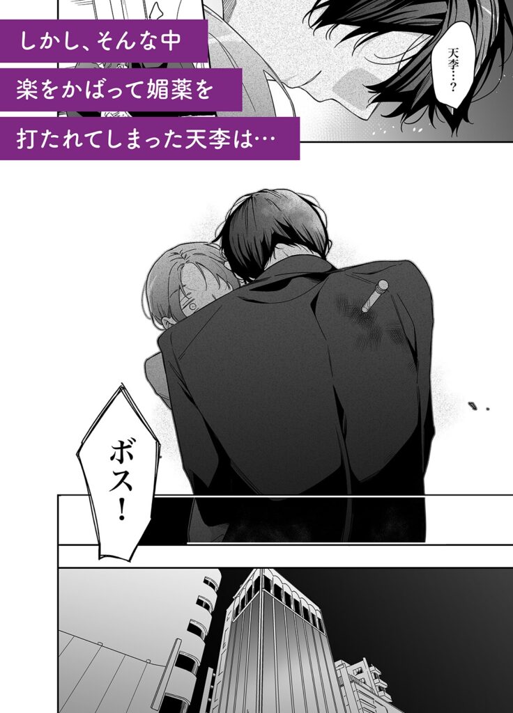 ロンリーマフィア様のペット2~媚薬で理性を失くしたマフィアに一晩中最奥溺愛されました~ サンプル画像 ネタバレ